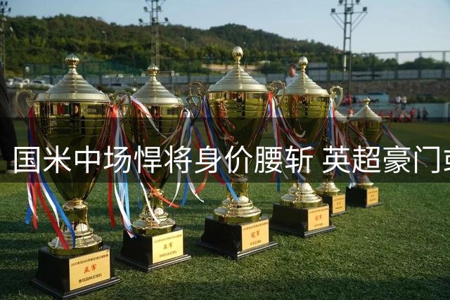 国米中场悍将身价腰斩 英超豪门或1500万抄底意大利国脚